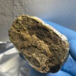 DryTech X Golden Farms Hash - Image 2